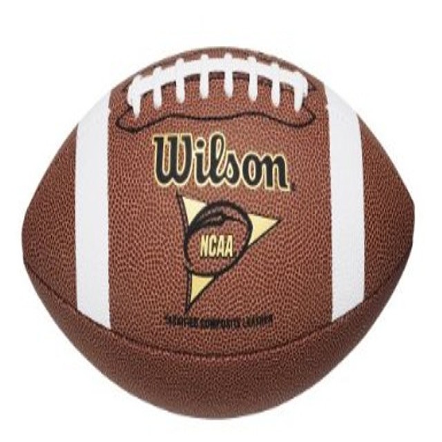 Wilson NCAA Official Composite Leather Replica Game Football
